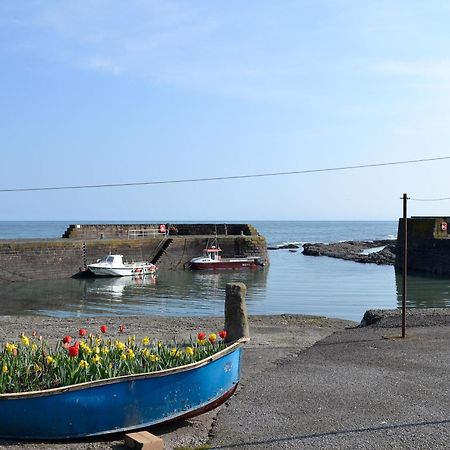 Вилла Harbour View Johnshaven Экстерьер фото